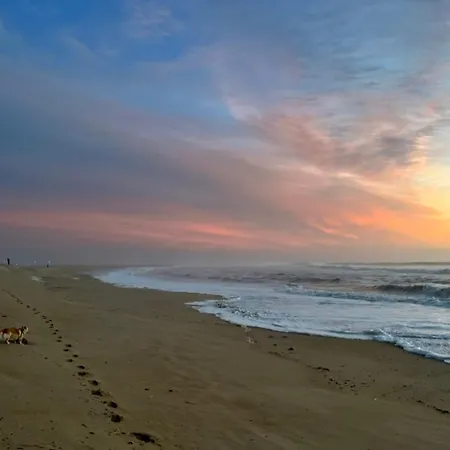 Апартаменты Cozy T2+1 2 Minutes From The Beach